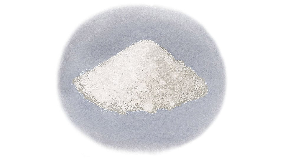 Hydrolyzed Rice Protein